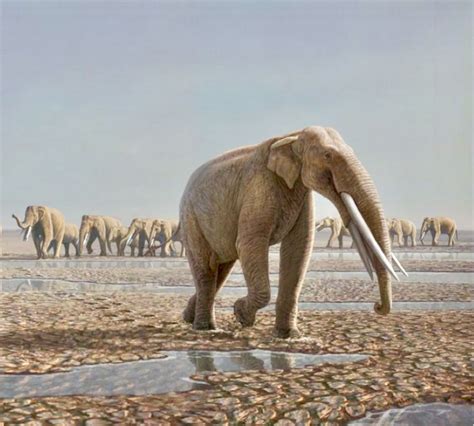 Fragments of Ancient Lives | Prehistoric wildlife, Prehistoric creatures, Extinct animals