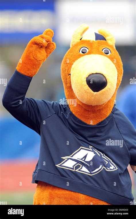 Akron zips mascot hi-res stock photography and images - Alamy