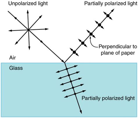 Polarization | Physics