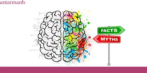 Popular Psychology ‘Facts’ That Are Myth | Antarmanh