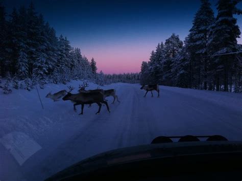 Northern Sweden in Winter