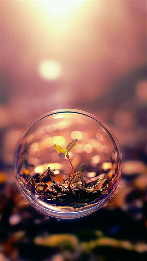 Water bubble, bubbles, plants, HD phone wallpaper | Peakpx