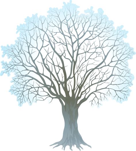 Winter tree clipart - Clipground