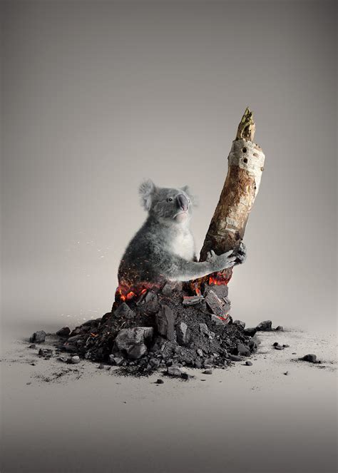 WWF - Australia on Behance