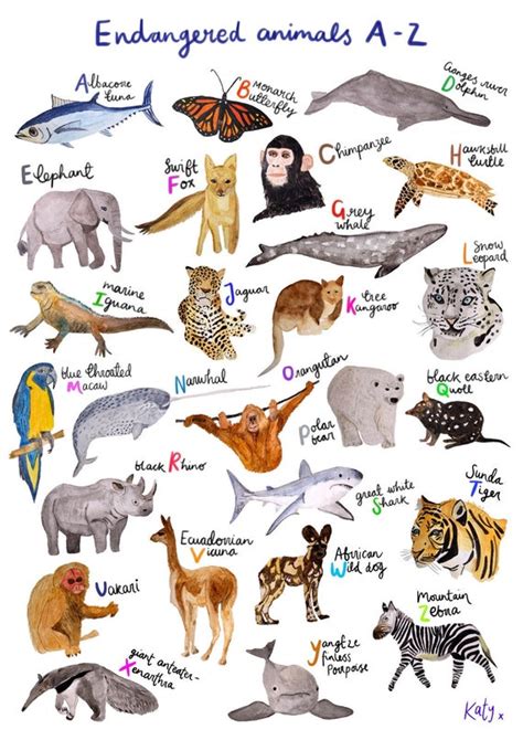 A3 Endangered Animals A-Z print unframed | Etsy