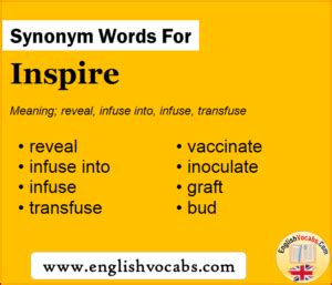 Synonym for Inspire, what is synonym word Inspire - English Vocabs