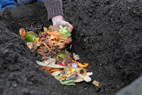 How To Make a Composting Trench | BBC Gardeners World Magazine