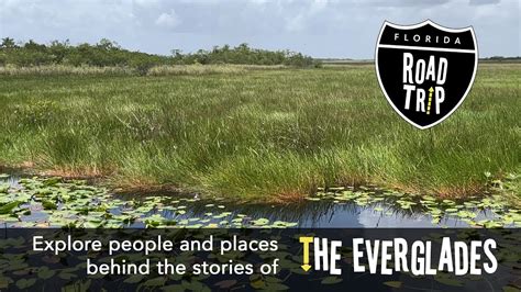 Florida Road Trip | The Everglades - YouTube