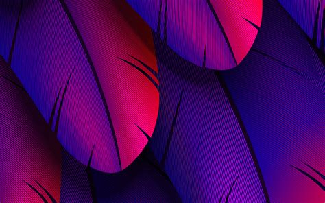 Download wallpapers purple feathers, 4k, 3D textures, macro, feathers ...
