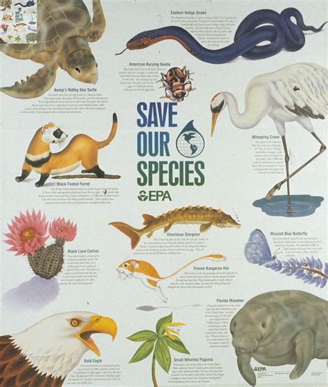 December 28 — Endangered Species Act Enacted (1973) – Today in Conservation