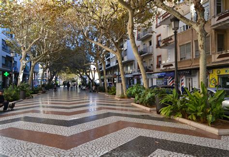 WELCOME TO TREE CITY: Valencia’s Gandia earns international award for its trees and gardens ...