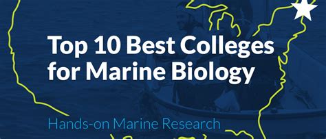 UNE ranked in top 10 of best colleges for marine biology by ‘College ...