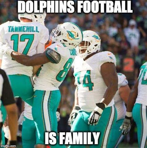 2889 best miami dolphins memes images on Pinterest | Miami dolphins ...