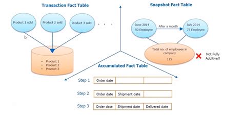 Database and Warehouse Concepts: Fact Table Types