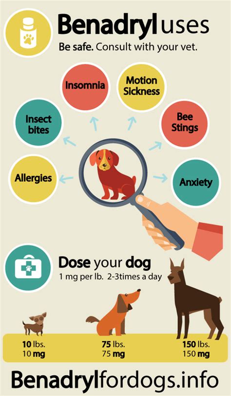 Benadryl Dosage For Dogs Infographic