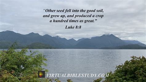 Luke 8 Lesson - Virtual Bible Study™