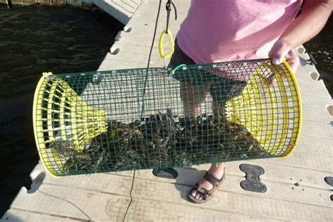 Crayfish Traps / Crawfish Traps - Testimonials - Trapper Arne