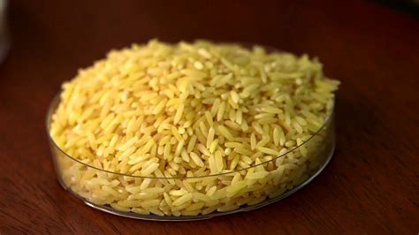 GMO debate grows over golden rice in the Philippines | Golden rice, Genetically modified food, Rice