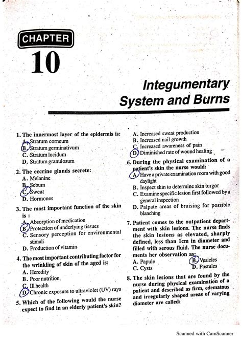 SOLUTION: MCQS CHP#10 Integumentary System and Burns - Studypool