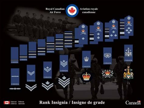 Military ranks, Canadian military, Military insignia