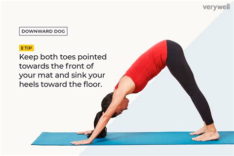 31 Yoga Poses for Beginners