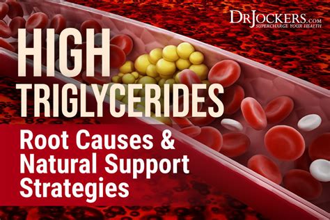 High Triglycerides: Root Causes and Natural Support Strategies