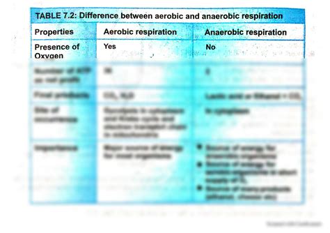 SOLUTION: Difference between aerobic and anaerobic respiration biology ...