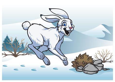 arctic hare in winter 21775042 Vector Art at Vecteezy