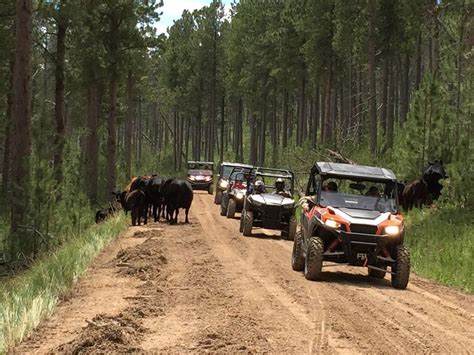 Best ATV/UTV Trails In the Black Hills of South Dakota