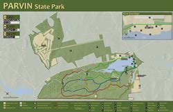 NJDEP | Parvin State Park | New Jersey State Park Service