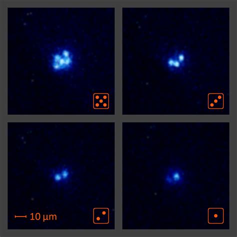 experimental physics - Which is the smallest known particle that scientists have actually *seen ...