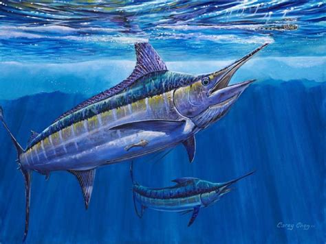 Marlin Art Gallery | Fish art, Sea life art, Blue marlin