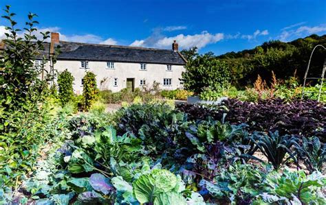 River Cottage, Dorset | Cool Places