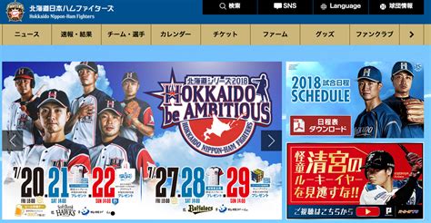 How to Get Japanese Baseball Game Tickets of All 12 Teams