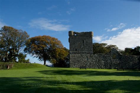 Loch Leven Castle (Jo) 143 – The Hazel Tree