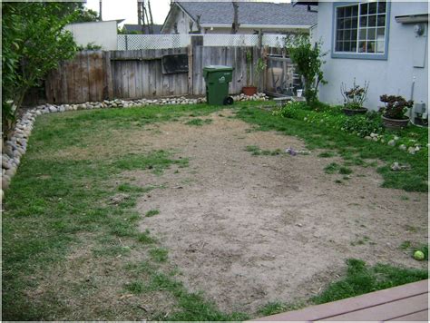 Review Of Small Backyard Ideas Dog Friendly 2022