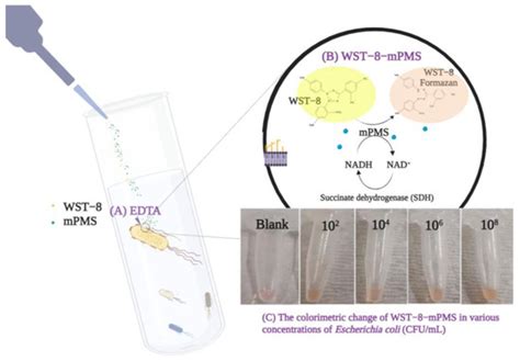 Pathogens | Free Full-Text | Potential Application of the WST-8-mPMS ...