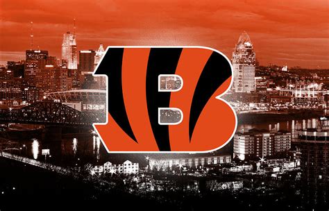 Cincinnati Bengals NFL Football Digital Art by SportsHype Art