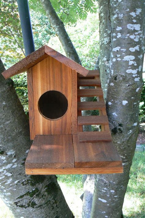 Squirrel Houses Plans - Floor Plans Concept Ideas