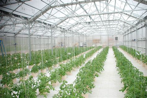 Greenhouse And Its Advantages, Importance of Greenhouse Farming