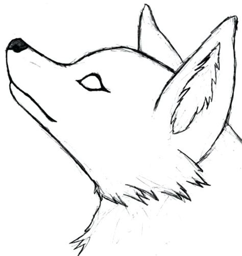 Easy Wolf Head Drawing | Free download on ClipArtMag