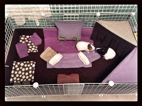 C and C cage fleece decorating idea: different shades of purple Diy ...