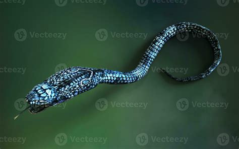 3d Illustration Blue color of King Cobra The World's Longest Venomous ...