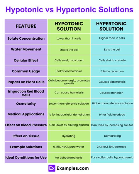 Hypotonic vs. Hypertonic: What's the Difference? With Examples