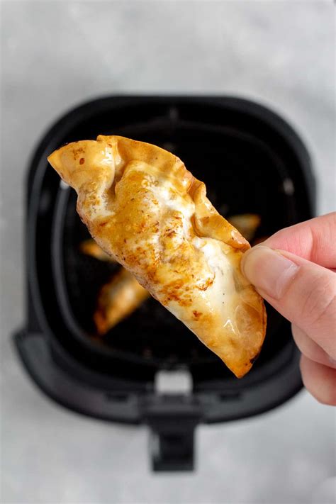 Air Fryer Dumplings (From Frozen) – Carmy – Forsaleon