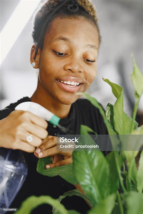 African Woman Take Care About Big Plant Stock Photo - Download Image Now - Adult, Black Color ...