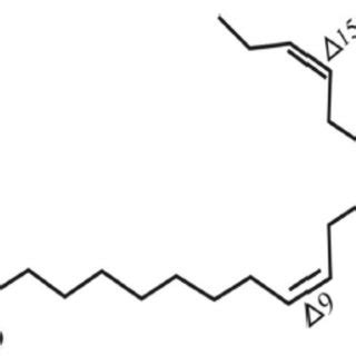 Structure of methyl linoleate. | Download Scientific Diagram