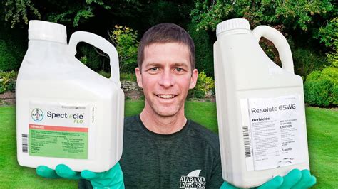 What's the Best Pre Emergent Herbicide for Lawns? - YouTube