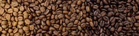 What is the Difference Between Light, Medium, and Dark Roast Coffee? | Copper Moon Coffee