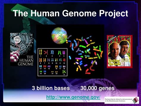 PPT - Introduction to Genomics, Bioinformatics & Proteomics PowerPoint ...